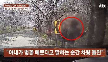 "벚꽃 예쁘다" 말하고 2초 만에 '쾅'…음주운전 차에 숨진 아내