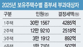 ‘11채 이상’ 다주택자 2만명, 전체 종부세 30% 냈다