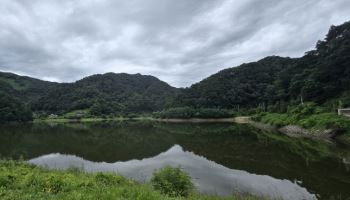주민과 상생하는 '숲', 산림경영 미래 엿보다