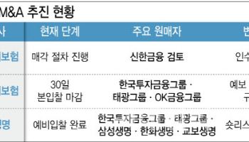 몸값 낮추니 불붙은 경쟁…보험사 M&A로 몸집 키우는 금융사들