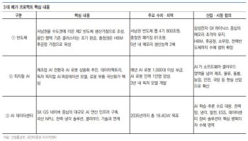 AI 메가프로젝트 띄운 정부…“반도체 넘어 전력·로봇까지 확산”