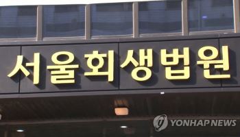 法 "홈플러스 회생계획안 수정안 제출 아직"…가결 기한 연장되나