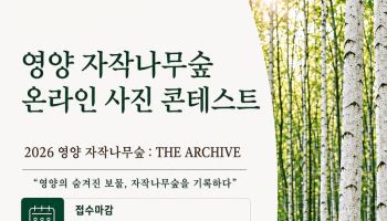 자작나무숲의 아름다움 담아내세요! 영양군 사진 공모전 개최