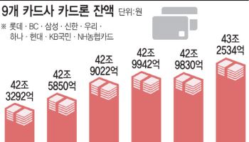 43조 카드론, 고삐 죈다…금융위, 보험 이어 카드·캐피털사 호출
