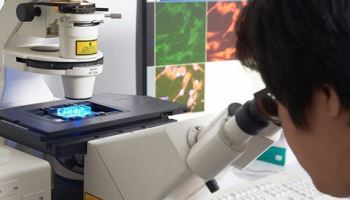 K뷰티 빅2의 자존심 ‘R&D 역량’…“차별화된 기술력으로 승부”