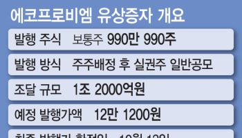 대규모 유상증자 에코프로그룹, 금감원 문턱 넘을수 있을까