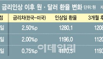 치솟는 환율, 금리 올리면 진정?…이번엔 글쎄