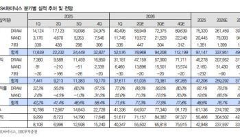 SK하이닉스 "아직 싸다"…목표가 400만원 파격 상향-IBK