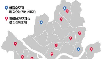 말라리아·뎅기열 매개 모기 서울 조기 출현…예방 수칙은