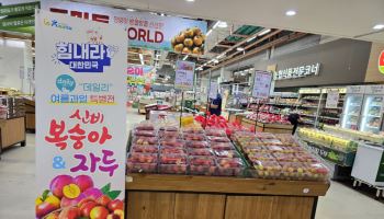 경북도, 전국 하나로마트서 '데일리' 여름과일 특별전…최대 27% 할인