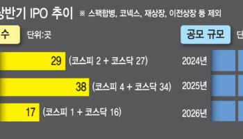 심사강화 예고에 IPO 반토막…'삼전닉스 쏠림'에 공모가 밑 추락 속출
