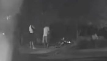 "개한테 수천발 쐈다"...비비탄 난사 20대 3명, 검찰 징역형 구형