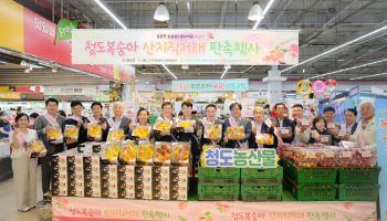 청도복숭아, 울산 소비자 공략…최대 20% 할인 판촉전 개최