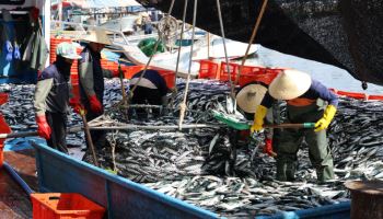 평균 월급 655만원… 2030대 젊은 선원들 늘어난다