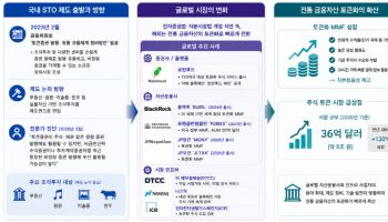 그땐 옳았지만 지금은 틀려…STO정책 궤도 수정 필요한 때