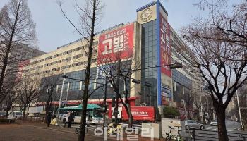 "홈플러스 사태 남 일 아냐"…커지는 대형마트 위기론, 규제 손질은 '쿨쿨'