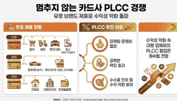 배민·컬리부터 포르쉐·벤츠까지…멈추지 않는 카드사 'PLCC'