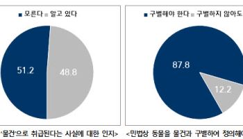 국민 10명 중 9명 "동물, 물건과 구별해야"…민법 개정 논의 착수