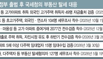 가짜매매·부모찬스 전부 탈탈...세금 318억 추징