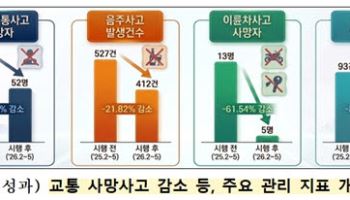 시민 제안 받았더니…서울 車 통행속도,  5년 만에 빨라졌다