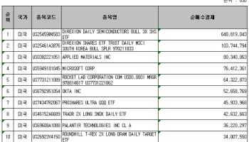 '반도체 피크아웃' 경고에도…반도체 '줍줍' 나선 서학개미들