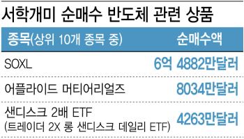 피크아웃 경고 아랑곳…반도체 줍줍한 서학개미