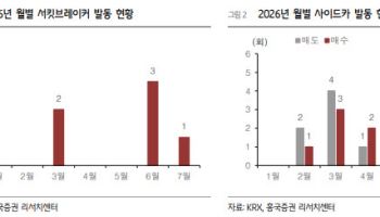 코스피 변동성, 반도체가 키웠다…“성장 신뢰 회복이 반등 관건”