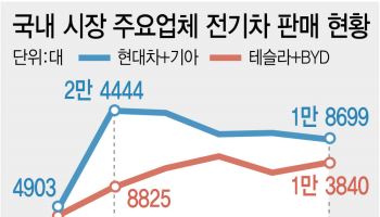속수무책 안방 내주는 국산 전기차…中 역전 머잖았다