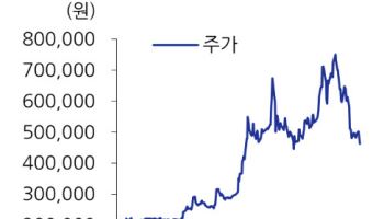 목표가 낮췄지만 '최선호주' 유지…"현대차, 실적 저점은 매수 기회"-유진