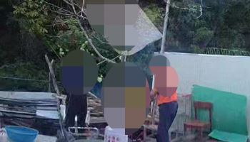 살아있는 개 매달고 태워 죽인 70대 등 2명…검찰 송치