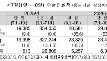 반도체 신기록에…7월 초순 수출 298억달러 '역대 최대'