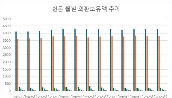 고환율로 4200억달러대 정체 중인 외환보유액…대미투자금 조달 부담↑