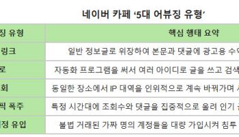 "광고 카페 퇴출" 칼 빼든 네이버…AI탭 신뢰도 높이기 총력