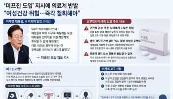 산부인과의사회, ‘미프진 도입’ 지시에 반발…“법·안전망부터 마련해야”