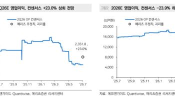 한국전력, 단기 규제 리스크 확대…목표가↓-메리츠