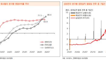 “코스피 7300선 아래 분할매수…단 하나의 리스크는 美 증시 조정”