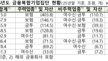 토스, 금융그룹 됐다…빅테크 첫 '금융복합기업집단' 지정