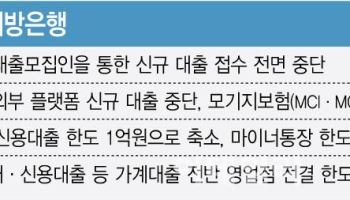 서울 집값 잡으려다 지방까지 번진 대출 한파