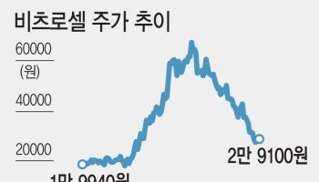 비츠로셀 주가, 두달새 반토막…모건스탠리 '저가 매수'
