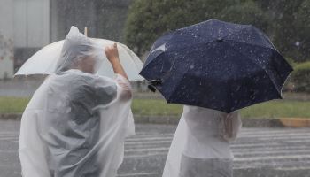 "밤새 물폭탄"…경기 남부, 시간당 최대 50㎜ 강한 비