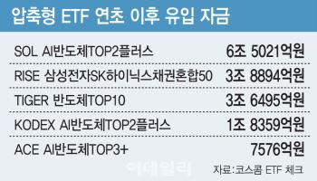 대장주만 골라 담는 ETF 뜬다…‘톱2·톱3’ 상품 잇단 흥행