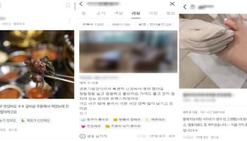 “너무 맛있어요” 포털 속 리뷰 수만 건, 허위였다…19억원 챙긴 일당 적발