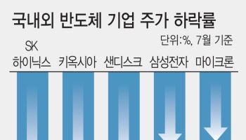 "AI 투자 증가세 꺾여"…"성장률 둔화와 피크아웃 구분해야"