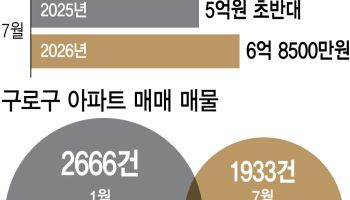 “노도강 마저 10억 넘어” 신혼부부 '멘붕'…결국 '이 동네' 몰렸다