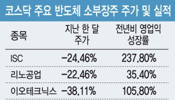 실적 뛰었는데 주가는 뒷걸음…코스닥 반도체 소부장 다시 볼 때?