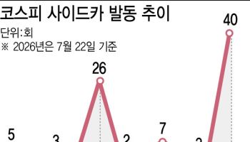 사이드카 효과 의문…"25년 묵은 기준 손봐야"