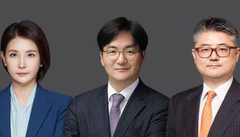 태평양, ‘온라인 콘텐츠 규제 대응 TF' 출범…개정 정통법 대응