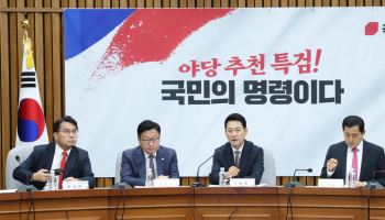 국힘 "대통령님, 29억 집 9천만원에 사는 방법 알려줘서 감사합니다"