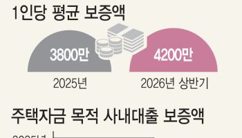'은행 안되면 회사서 빌리면 되지' 사내대출 1년새 28% 늘었다