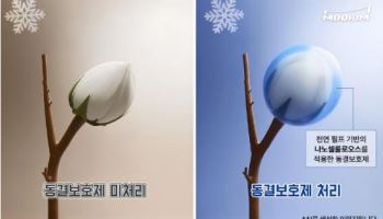 "과수 농가 저온 피해율 줄인다" 무림P&P,  동결보호제 개발 MOU